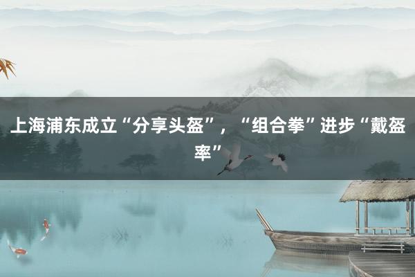 上海浦东成立“分享头盔”，“组合拳”进步“戴盔率”
