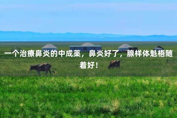 一个治療鼻炎的中成薬，鼻炎好了，腺样体魁梧随着好！