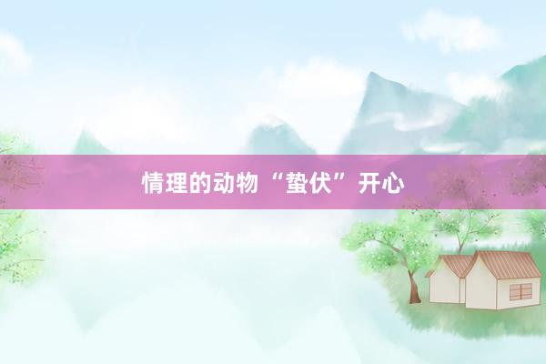 情理的动物 “蛰伏” 开心